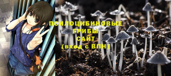 мдпв Михайловка