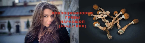 мдпв Михайловка