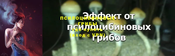 прущие грибы Михайловск
