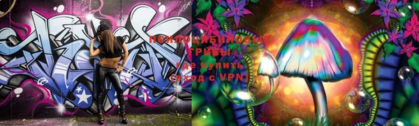 apvp Майский