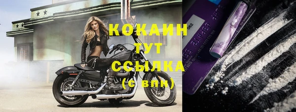 mdpv Магас