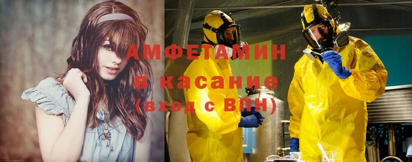 прущие грибы Михайловск