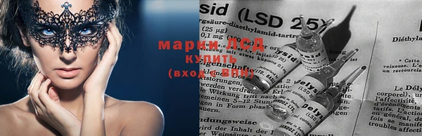 mdpv Магас