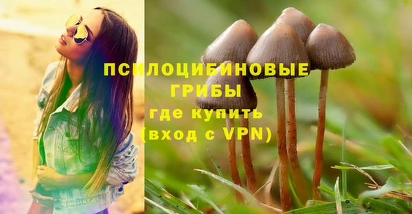 мдпв Михайловка