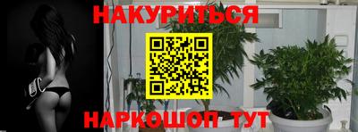 эйфоретик Абакан