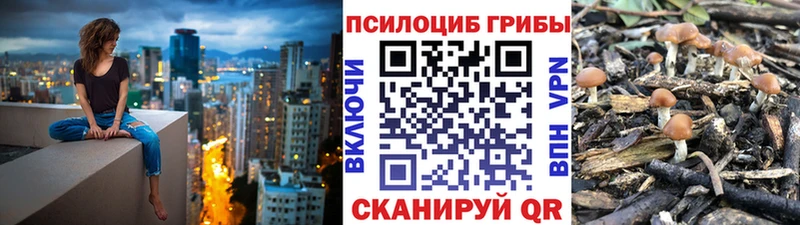 Псилоцибиновые грибы мицелий  Шадринск 