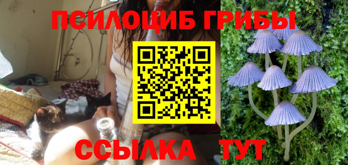 Шадринск  Галлюциногенные грибы ЛСД  Вход с VPN  Галлюциногенные грибы Psilocybine cubensis 