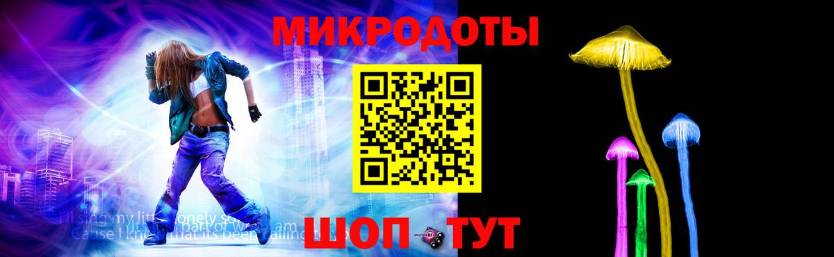 Псилоцибиновые грибы Psilocybine cubensis Шадринск
